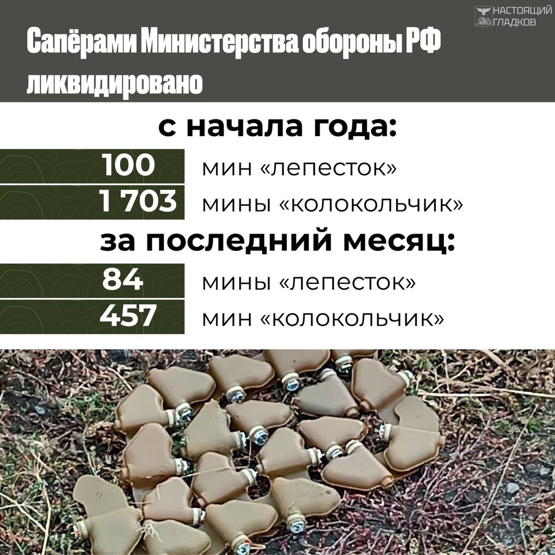 Дорогие жители Белгородской области!.